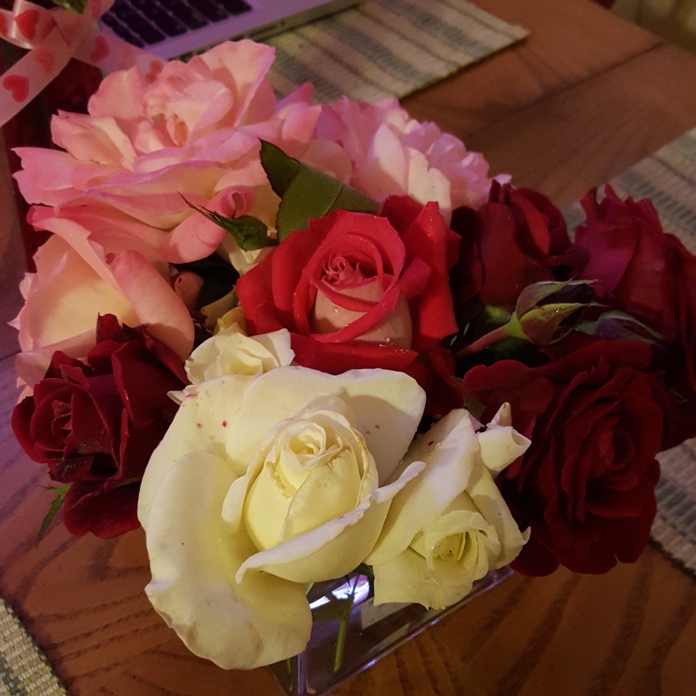 Meet your Posher, May